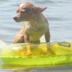 Meet your Posher, Deborah